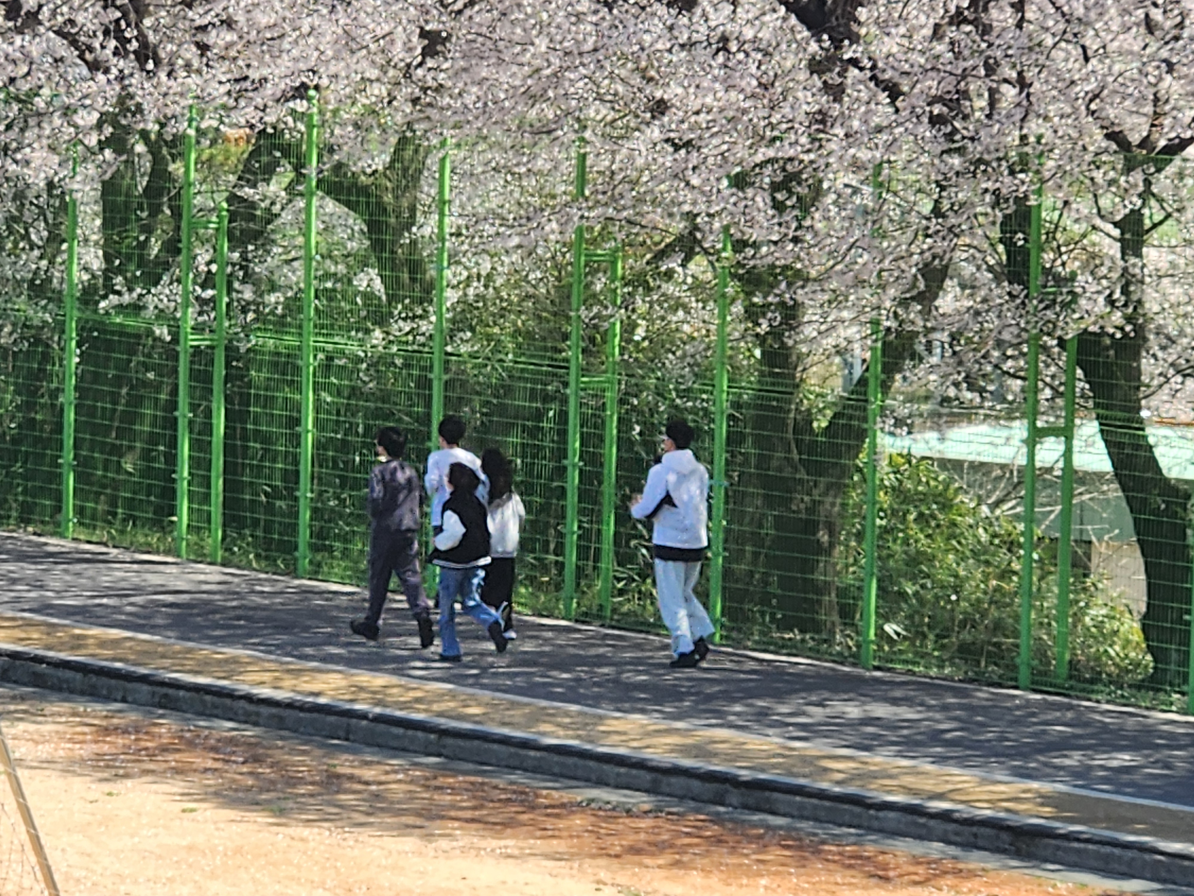 2026. 좋은수업 실천연구(1차-체육)